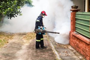 Introdutório para Agente de Combate à Endemias